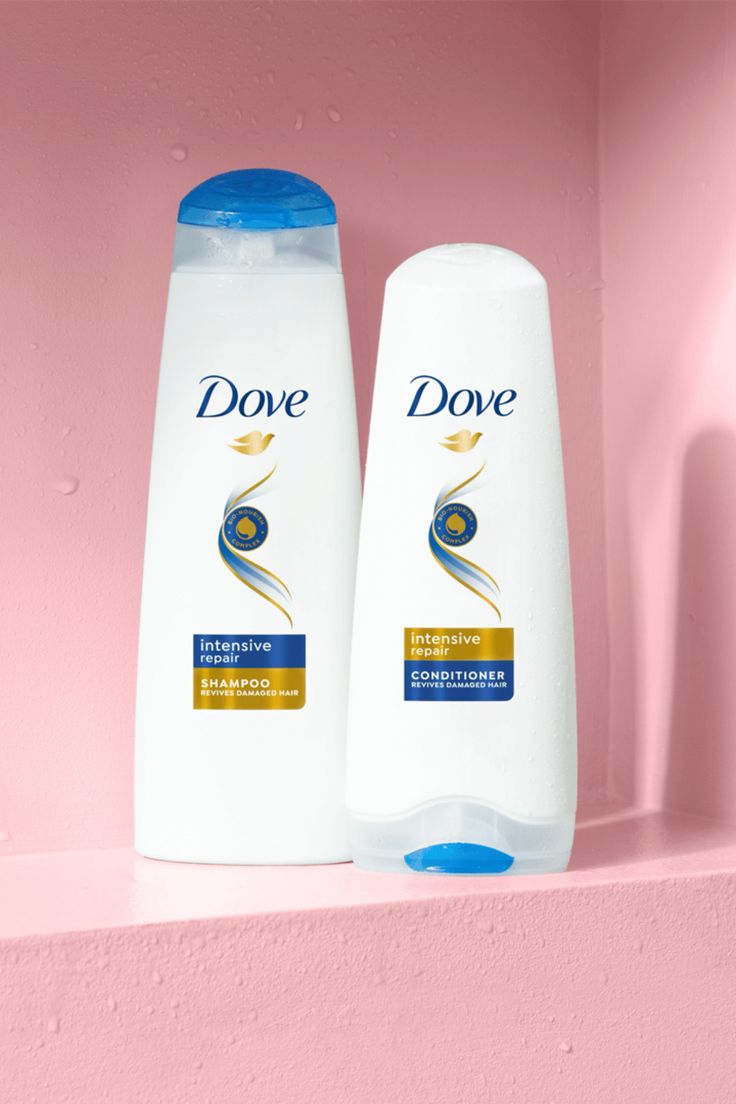Dove - Image 4